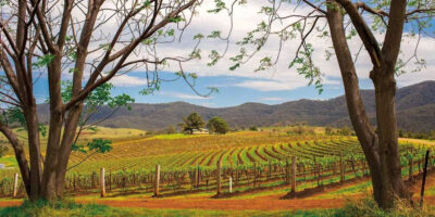 HUNTER VALLEY WINE REGION