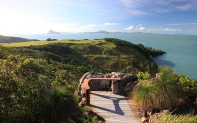 HamiltonIsland_15AfarBenchHigh_3933