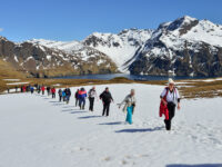 Hike at Cobbler's Cove_South Georgia_November_Martin van Lokven