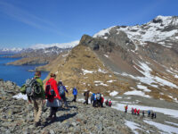 Hike at Godthul_South Georgia_November_Martin van Lokven