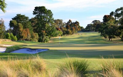 Huntingdale_06BackLow_1788 copy