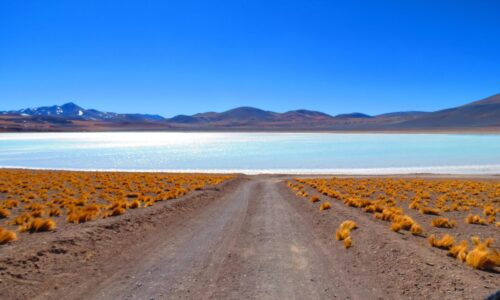 Scenic Piedras Rojas Lagoon Tours