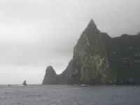 Inaccessible Island, Atlantic Odyssey © Hadoram Shirihai-Oceanwide Expeditions.jpg_Hadoram Shirihai