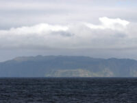 Inaccessible Island, Atlantic Odyssey_1 © Hadoram Shirihai-Oceanwide Expeditions.jpg_Hadoram Shirihai