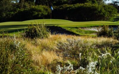 Kingston Heath day 1-47