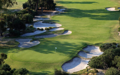 KingstonHeath_03AerialClose_1728 copy