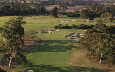 KingstonHeath_04AerialVert_1850 copy