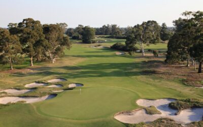 KingstonHeath_04BackAerial_1855 copy