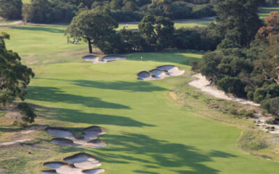 KingstonHeath_13AerialVert_1686 copy