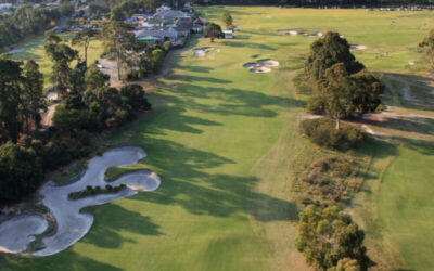 KingstonHeath_18AerialVert_1849 copy