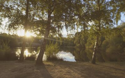 Lake-House_Daylesford_Lake-Walk