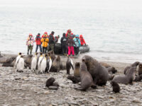 Leaving King Penguins and Fur Seals behind, Fortuna Bay, South Georgia © Oceanwide Expeditions-Margaret Welby.JPG_Margaret Welby