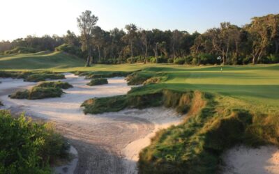 Magenta_13BunkerClose_5746