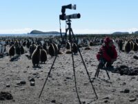 Memories of the Kings to last a lifetime_Rob Tully