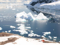 Neko Harbour, Antarctica © Mellany van der Hulst - Oceanwide Expeditions (2).JPG_Mellany van der Hulst