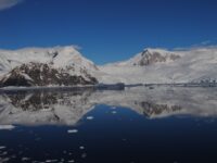 Neko Harbour © Jamie Scherbeijn - Oceanwide Expeditions.jpg_Jamie Scherbeijn