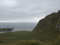 Nightingale Island, Atlantic Odyssey © Hadoram Shirihai-Oceanwide Expeditions (1).jpg_Hadoram Shirihai