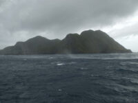 Nightingale Island, Atlantic Odyssey © Hadoram Shirihai-Oceanwide Expeditions (3).jpg_Hadoram Shirihai