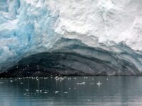 North Spitsbergen, Arctic Spring, June birdcave © Peter Tadin-Oceanwide Expeditions.jpg_Peter Tadin