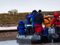 North Spitsbergen Polar Bear, July © Oceanwide Expeditions - Oliver Vogler.jpg_Oliver Vogler