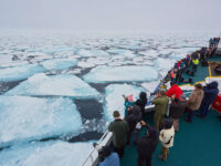 North Spitsbergen Polar Bear Special, June © Markus Eichenberger-Oceanwide Expeditions (13).jpg_Markus Eichenberger