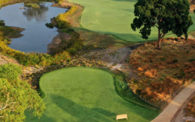 PKCGC_13SouthAerialTeeVert_8447