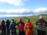 PLA29-18 Day 7 Prion Island DSC08720 © Oceanwide Expeditions.JPG_