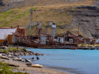 PLAEC-21, Day 14, Stromness © Laura Mony - Oceanwide Expeditions.jpg_Laura Mony