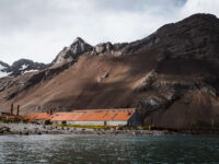 PLAEC-21, Day 14, Stromness © Unknown Photographer - Oceanwide Expeditions.jpg_Unknown Photographer