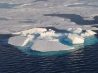 Pack Ice, Seven Islands, Spitsbergen, August © Jamie Scherbeijn-Oceanwide Expeditions.JPG_Jamie Scherbeijn