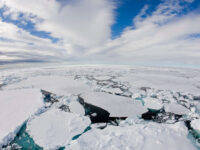 Pack Ice, Spitsbergen, July © Franco Banfi-Oceanwide Expeditions.jpg_Franco Banfi