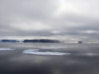 Pack ice near Sjuoyane © Geert Kroes - Oceanwide Expeditions.jpg_Geert Kroes