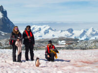 Passengers and Adelie penguin, Yalour Islands © Sara Jenner - Oceanwide Expeditions.jpg_Sara Jenner