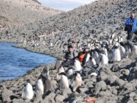 Paulet Island © Celine Clement - Oceanwide Expeditions.JPG_Celine Clement