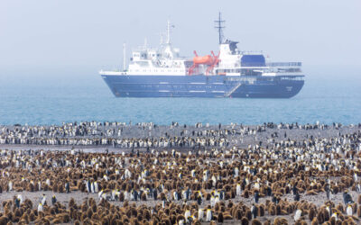 Penguins waiting in line to board Ortelius_Anne Haraldsted