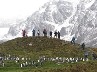People overlooking St. Andrews bay, South Georgia_Luc Vanhercke