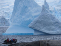 Petermann Island, Antarctica © Dale Jacobsen-Oceanwide Expeditions.JPG_Dale Jacobsen