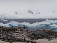 Petermann Island, Antarctica © Jamie Scherbeijn-Oceanwide Expeditions.JPG_Jamie Scherbeijn