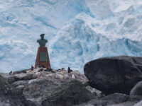 Point Wild, Elephant Island © Sara Jenner - Oceanwide Expeditions.jpg_Sara Jenner