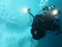 Polar Diving © Miss Scuba - Oceanwide Expeditions.jpg_Miss Scuba