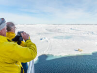 Polar bear on the pack ice © Andrew Peacock - Oceanwide Expeditions (2).jpg_Andrew Peacock