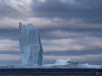 Port Charcot icebergs © Sara Jenner - Oceanwide Expeditions.jpg_Sara Jenner