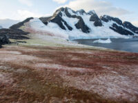 Port Charcot © Sara Jenner - Oceanwide Expeditions.jpg_Sara Jenner