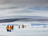 Quark Expeditions - Emperor Penguin Quest Snow Hill - Credit David Merron (3)