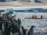 Quark Expeditions - Sea Kayaking - Antarctica - Credit David Merron