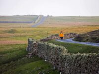 Quark Expeditions_Arctic Saga_Fair Isle, Faroes, and Spitsbergen_Birds & Bears_fairisle_Credit-AcaciaJohnson_7