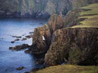 Quark Expeditions_Arctic Saga_Fair Isle, Faroes, and Spitsbergen_Birds & Bears_fairisle_Credit-AcaciaJohnson_8