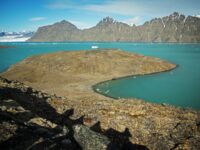 Quark Expeditions_Arctic Saga_Fair Isle, Faroes, and Spitsbergen_Birds & Bears_svalbard__19_Credit_AcaciaJohnson