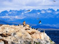 QuarkExpeditions_AdobeStock_259270533_TierradelFuego-Ushuaia-Argentina_Credit-Min