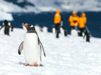 QuarkExpeditions_Epic_21A9100_DavidMerron